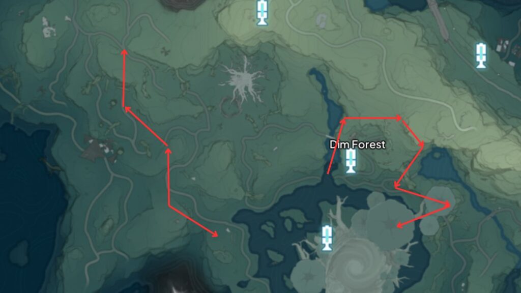 Echoes Location in Dim Forrest