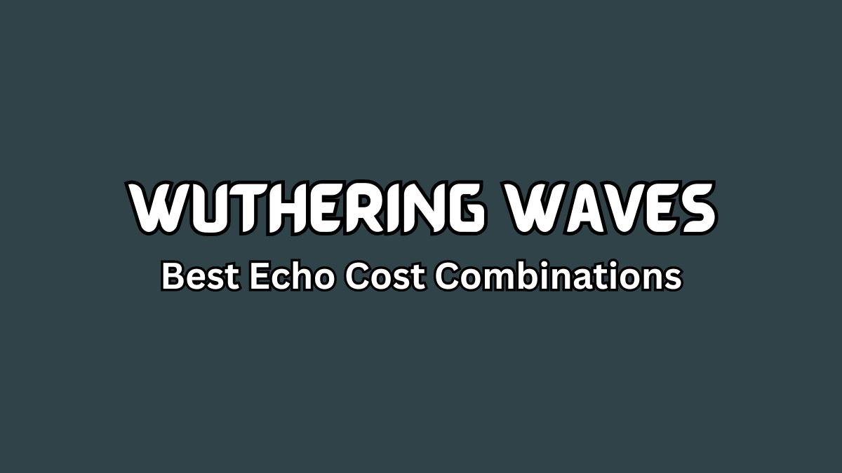 Wuthering Waves Best Echo Cost Combinations